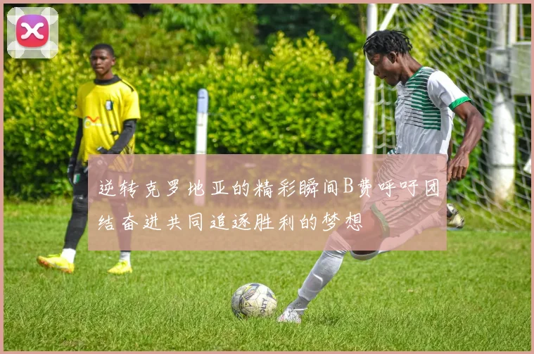 逆转克罗地亚的精彩瞬间B费呼吁团结奋进共同追逐胜利的梦想